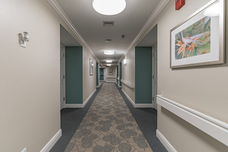 3260_McMullen_Booth_Rd__Clearwater__FL_33761__USA-20210821012052-1