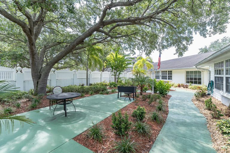 3260_McMullen_Booth_Rd__Clearwater__FL_33761__USA-20210821012056-2